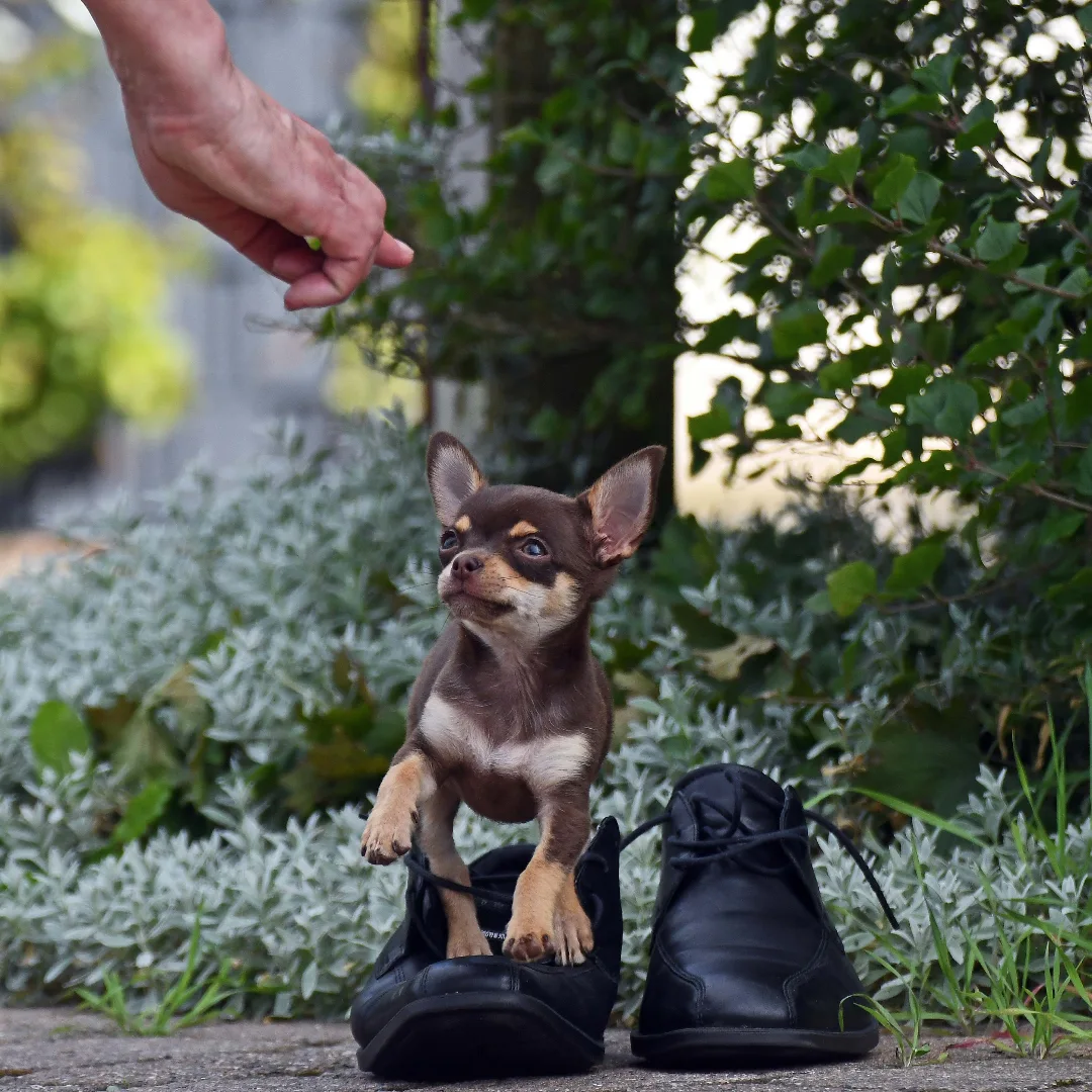 Kleines kann so Großes wirken